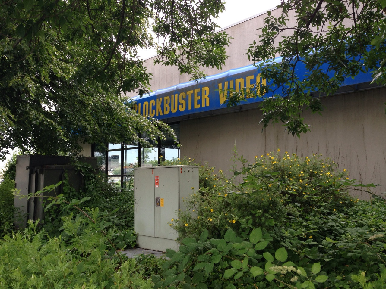 Seeing What Blockbuster Stores Have Become Will Make You Miss Your Favorite Video Store