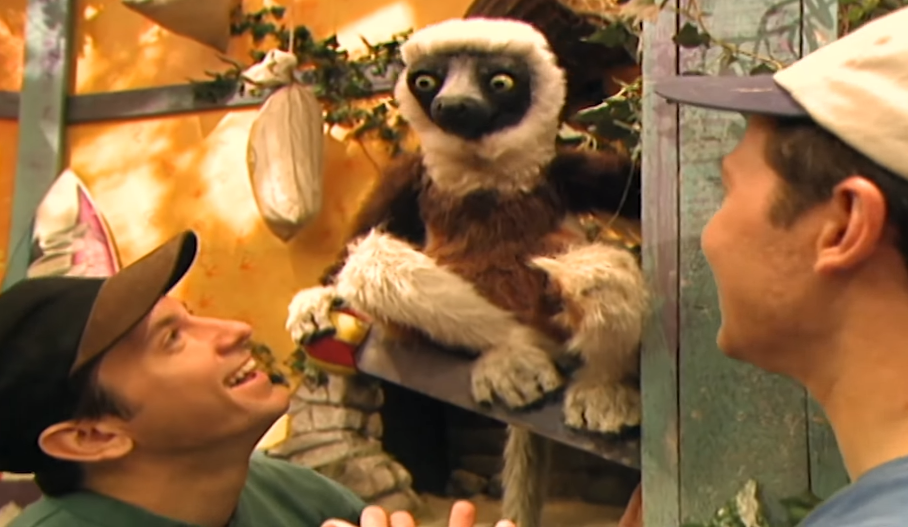 Dare You To Read This And Not Miss Zoboomafoo