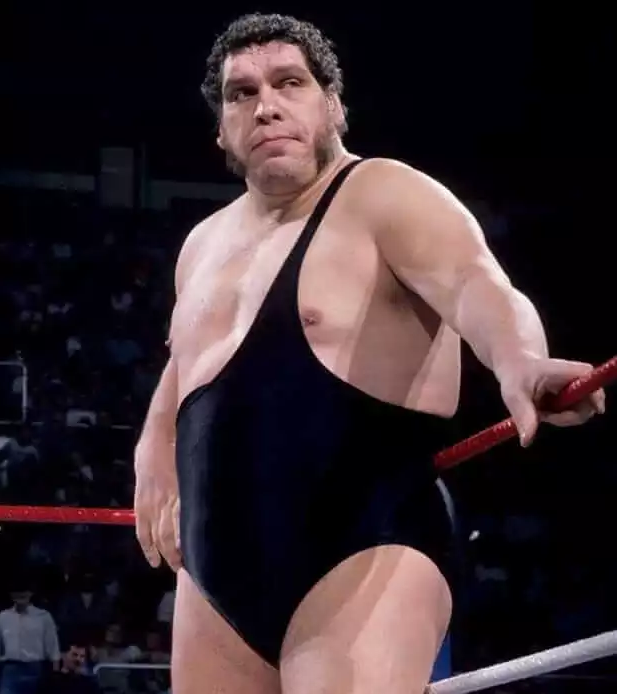 10 Facts About Andre The Giant That Prove There's A Lot We Don't Know About Him