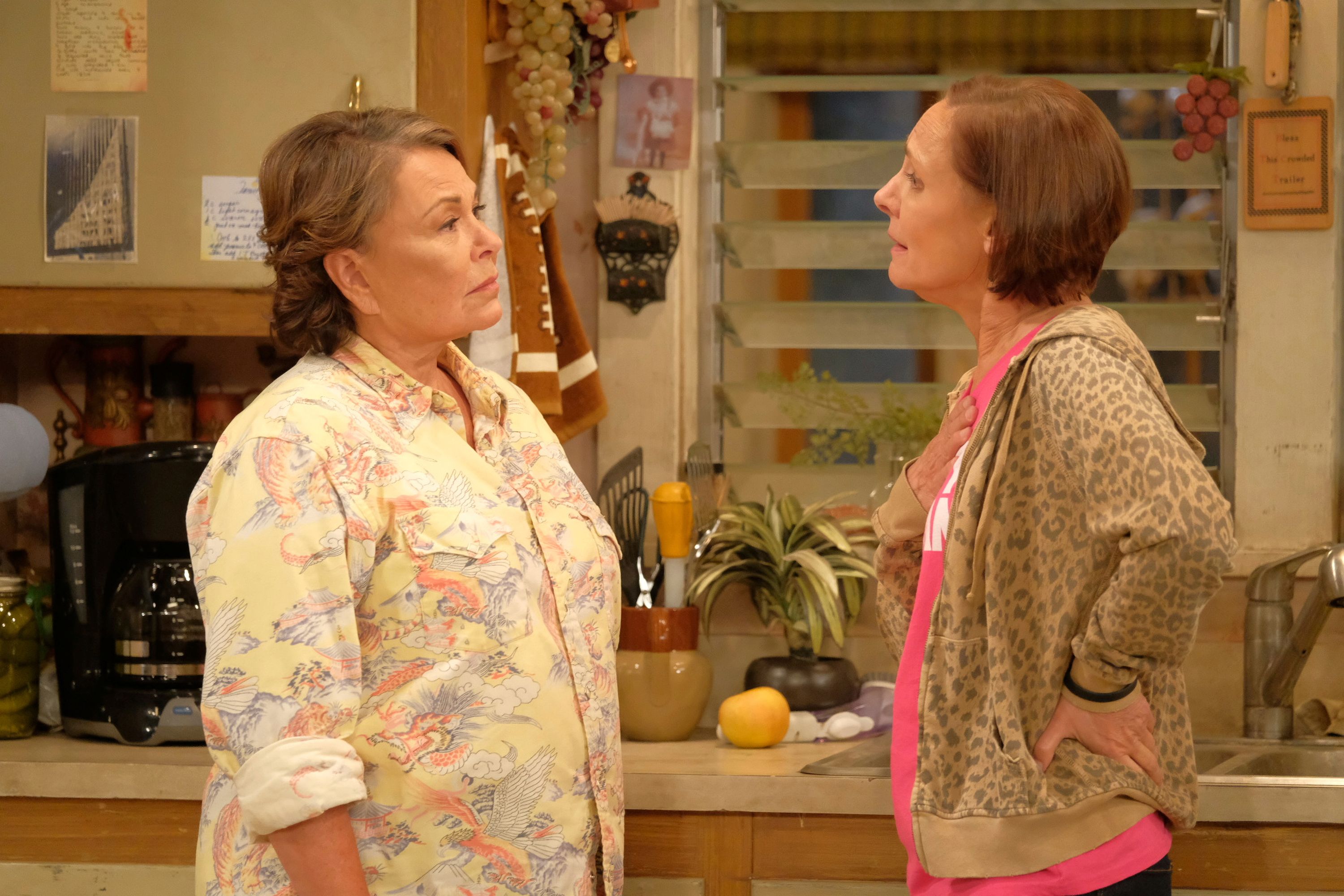 Roseanne Barr Return Possible, But Not With Her Rebooted TV Series