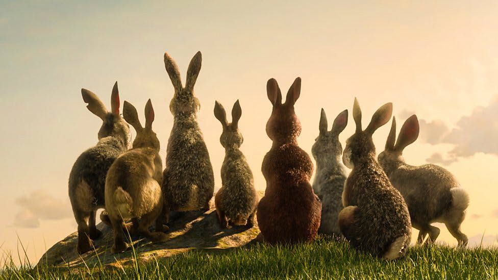 'Watership Down' Terrified Us As Kids, But Now It's Back With A Brand New Remake
