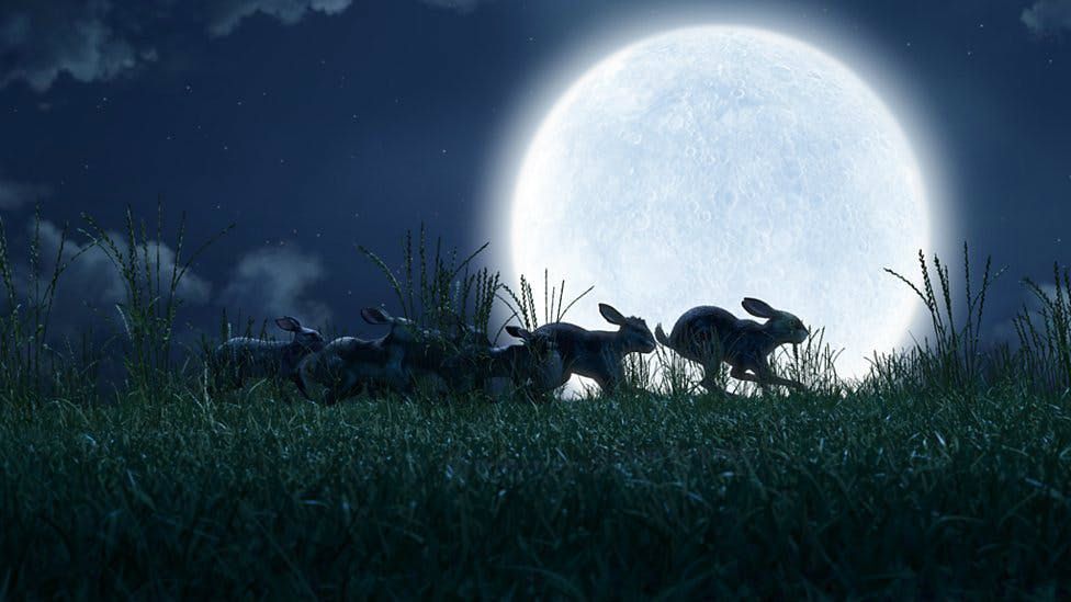 'Watership Down' Terrified Us As Kids, But Now It's Back With A Brand New Remake